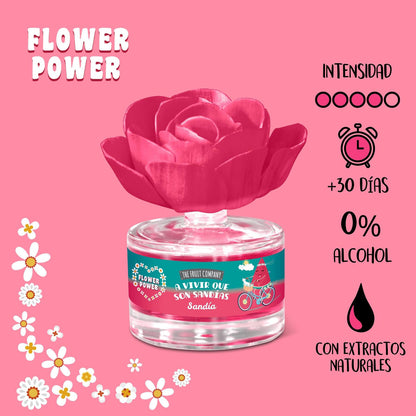 Coffret Fleur Mikado Pasteque