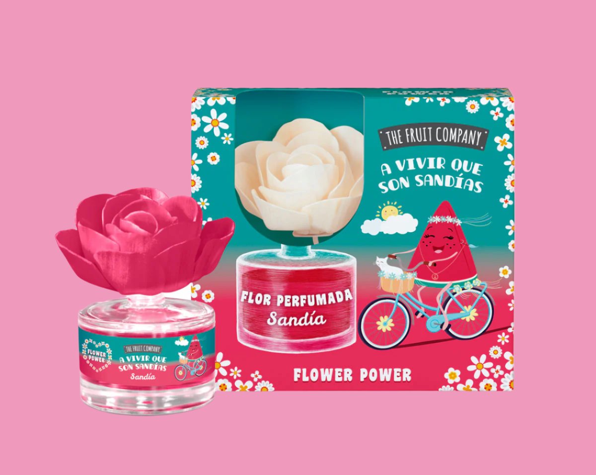 Coffret Fleur Mikado Pasteque